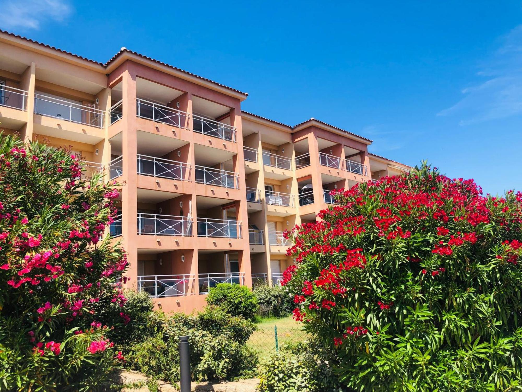 Superbe T2 Vue Mer - Piscine & Plage A 100M Ajaccio  Luaran gambar