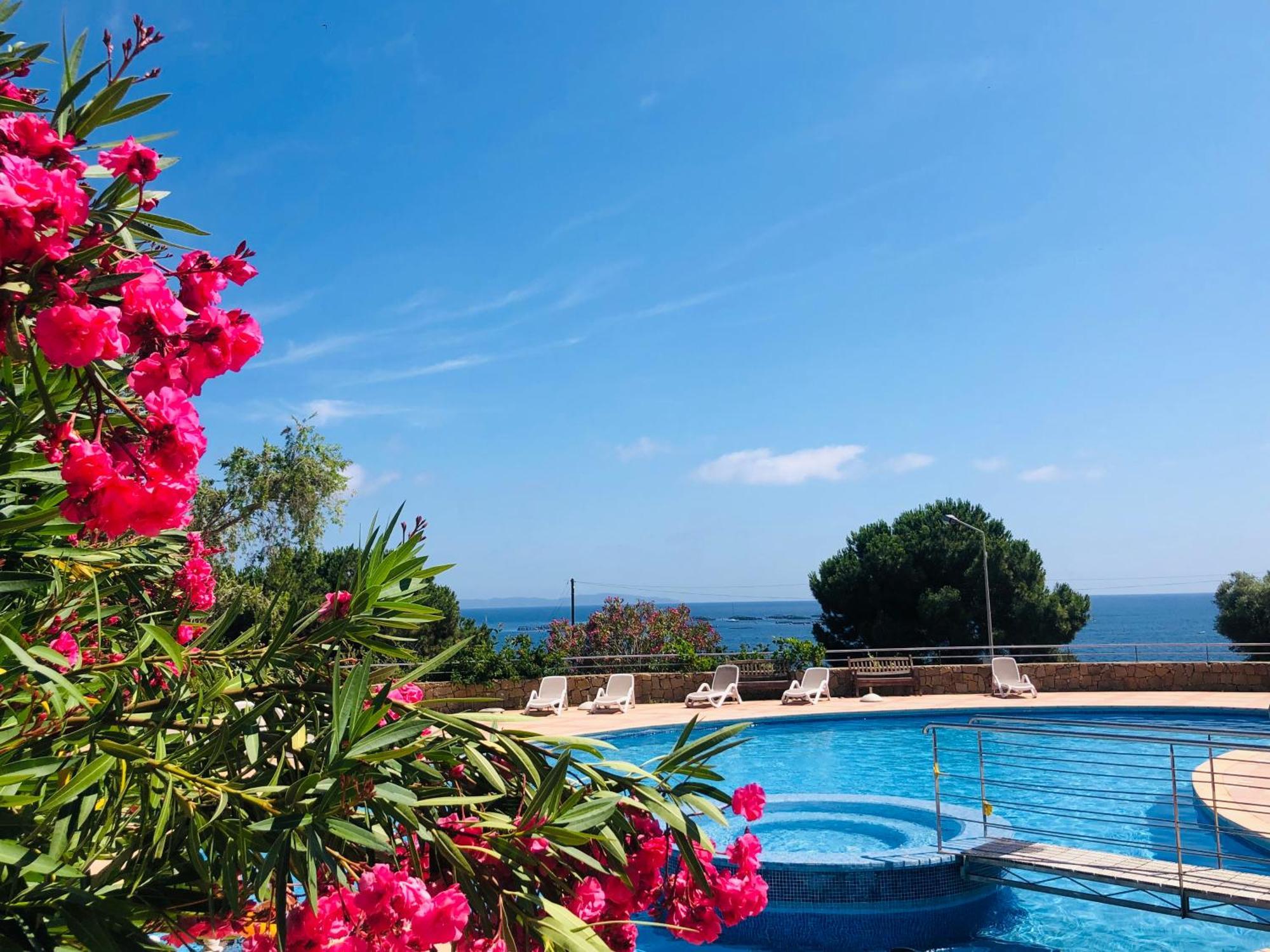 Superbe T2 Vue Mer - Piscine & Plage A 100M Ajaccio  Luaran gambar